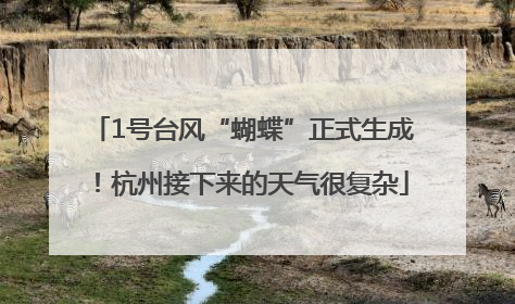 1号台风“蝴蝶”正式生成！杭州接下来的天气很复杂