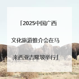 2025中国广西文化旅游推介会在马来西亚吉隆坡举行