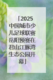 2025中国城市少儿足球联赛岳阳预赛在君山江豚湾生态公园开幕