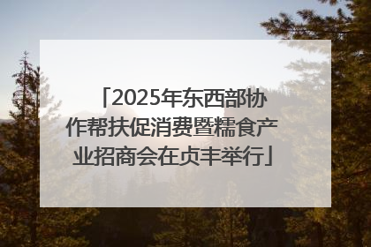 2025年东西部协作帮扶促消费暨糯食产业招商会在贞丰举行