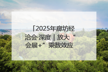 2025年廊坊经洽会·深度｜放大“会展+”乘数效应 打造消费新场景