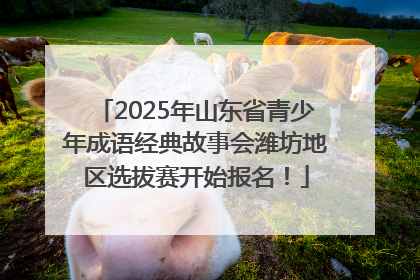 2025年山东省青少年成语经典故事会潍坊地区选拔赛开始报名！