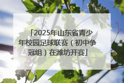 2025年山东省青少年校园足球联赛（初中争冠组）在潍坊开赛