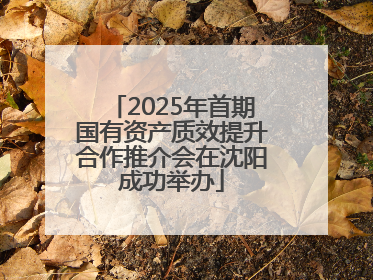 2025年首期国有资产质效提升合作推介会在沈阳成功举办