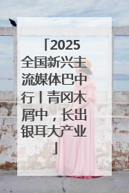 2025全国新兴主流媒体巴中行丨青冈木屑中，长出银耳大产业