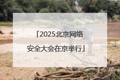 2025北京网络安全大会在京举行