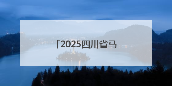 2025四川省马术联赛火热进行