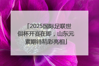 2025国际足联世俱杯开赛在即，山东元素期待精彩亮相