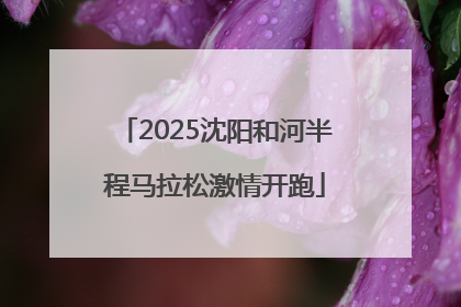 2025沈阳和河半程马拉松激情开跑