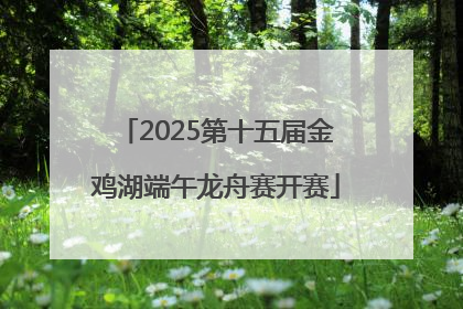 2025第十五届金鸡湖端午龙舟赛开赛