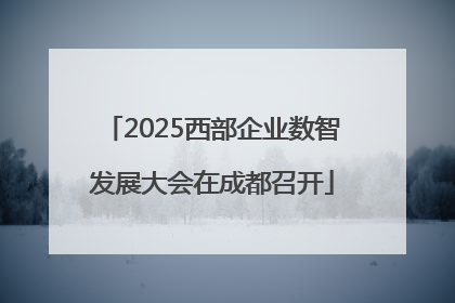 2025西部企业数智发展大会在成都召开