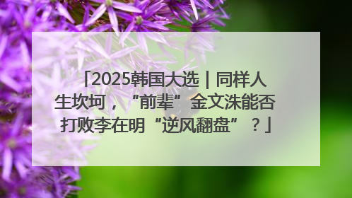 2025韩国大选｜同样人生坎坷，“前辈”金文洙能否打败李在明“逆风翻盘”？