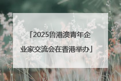 2025鲁港澳青年企业家交流会在香港举办