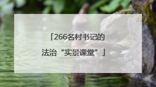 266名村书记的法治“实景课堂”