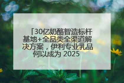 30亿奶酪智造标杆基地+全品类全渠道解决方案，伊利专业乳品何以成为 2025 焙烤展 MV