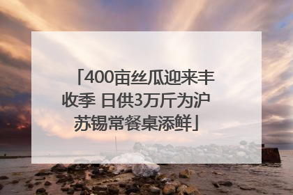 400亩丝瓜迎来丰收季 日供3万斤为沪苏锡常餐桌添鲜