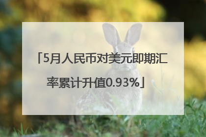 5月人民币对美元即期汇率累计升值0.93%