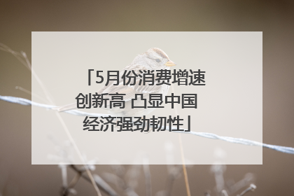 5月份消费增速创新高 凸显中国经济强劲韧性
