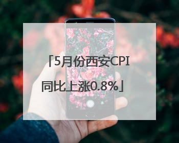 5月份西安CPI同比上涨0.8%