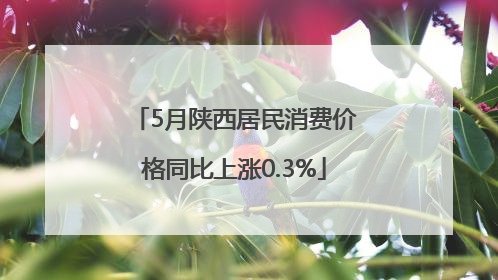 5月陕西居民消费价格同比上涨0.3%