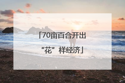 70亩百合开出“花”样经济