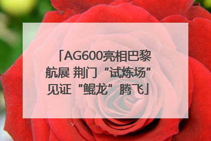 AG600亮相巴黎航展 荆门“试炼场”见证“鲲龙”腾飞