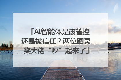 AI智能体是该管控还是被信任？两位图灵奖大佬“吵”起来了