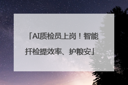 AI质检员上岗！智能扦检提效率、护粮安