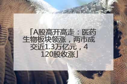 A股高开高走：医药生物板块领涨，两市成交近1.3万亿元，4120股收涨