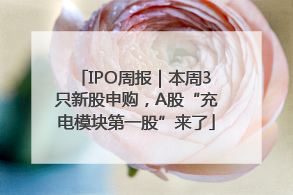 IPO周报｜本周3只新股申购，A股“充电模块第一股”来了