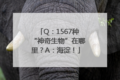 Q：1567种“神奇生物”在哪里？A：海淀！