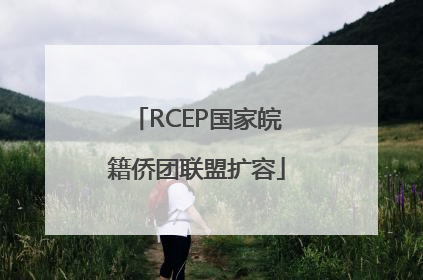 RCEP国家皖籍侨团联盟扩容